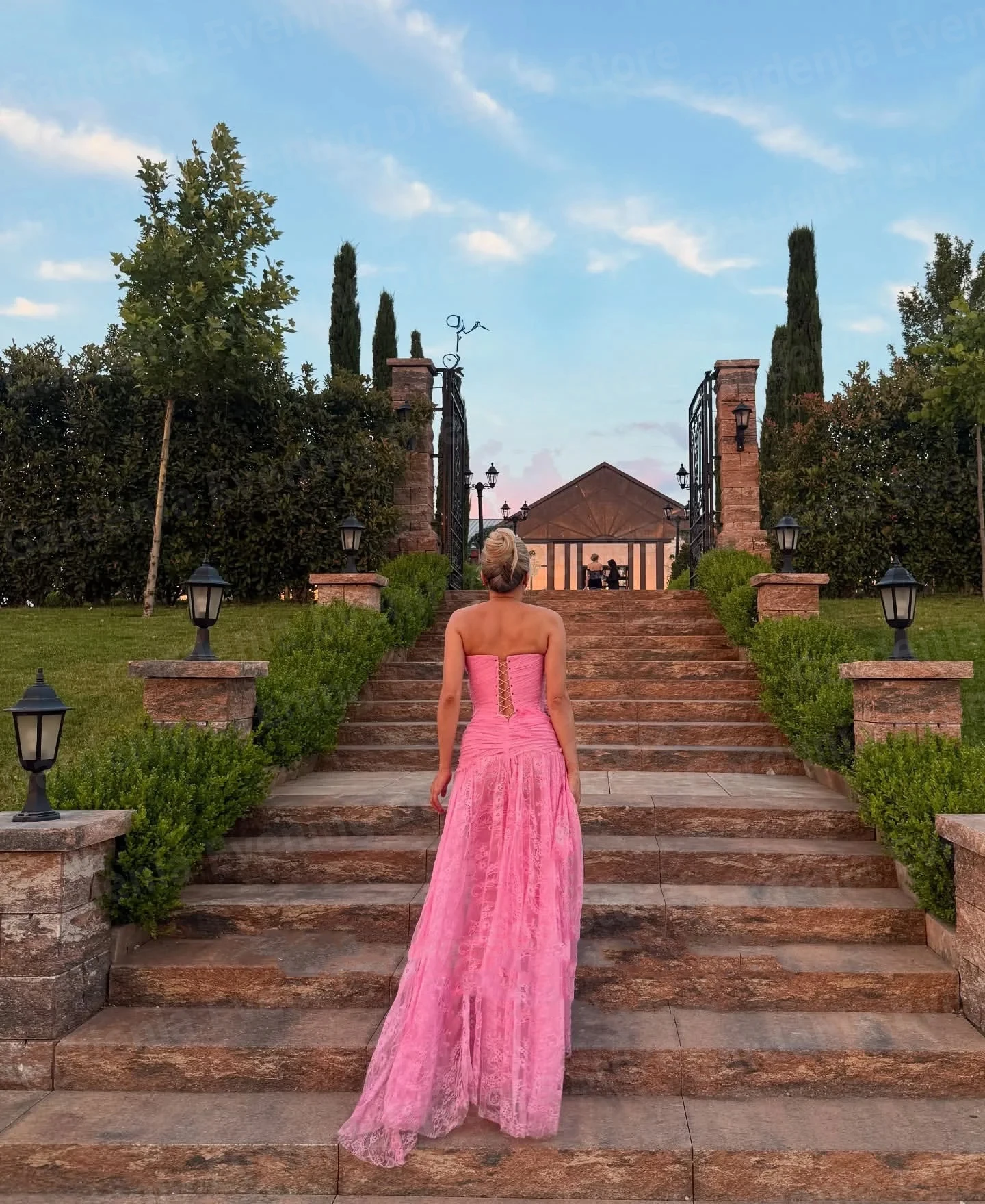 Luxurious Mermaid Women's Evening Dresses Sleeveless Lace Prom Gowns Customized Side Slit Backless