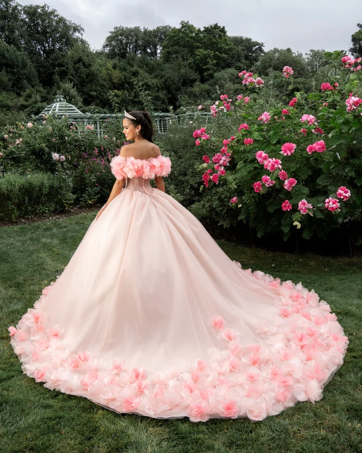 Off Shoulder Sleeveless Beaded 3D Flower Appliques Pink Sweet 15 Quinceañera Dress