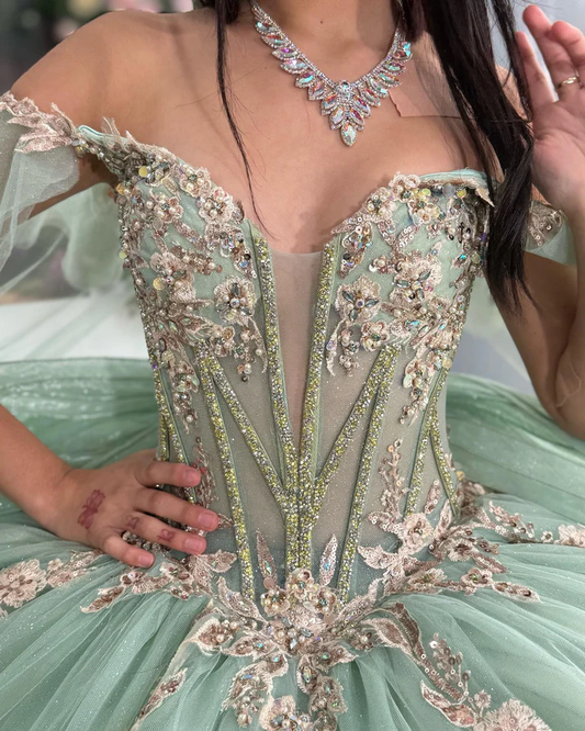 Princess Ball Gown Off Shoulder Tulle Appliqued Quinceanera Dresses for Teens