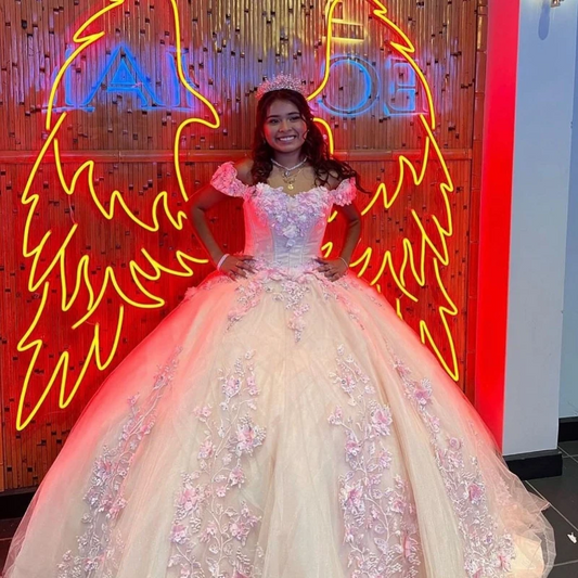 Pink Shiny Lace Ball Gown Quinceanera Dress Applique 3D Flower Beaded Sweetheart Sweet 16 Dress Lace-up