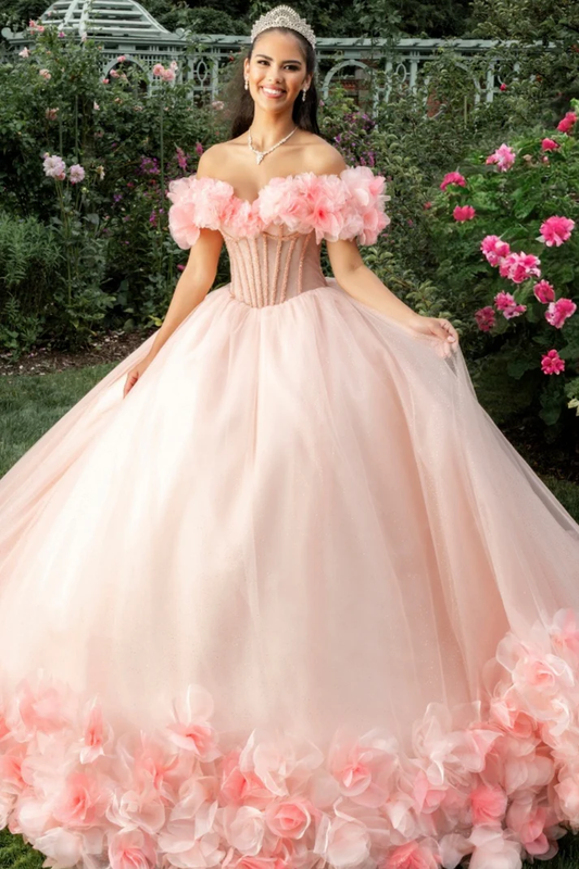 Off Shoulder Sleeveless Beaded 3D Flower Appliques Pink Sweet 15 Quinceañera Dress