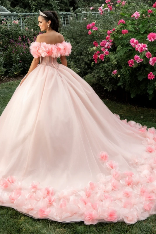 Off Shoulder Sleeveless Beaded 3D Flower Appliques Pink Sweet 15 Quinceañera Dress