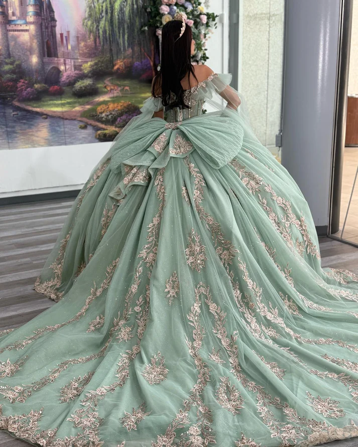 Princess Ball Gown Off Shoulder Tulle Appliqued Quinceanera Dresses for Teens
