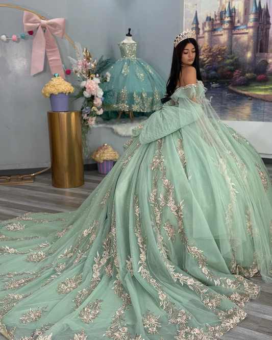 Princess Ball Gown Off Shoulder Tulle Appliqued Quinceanera Dresses for Teens