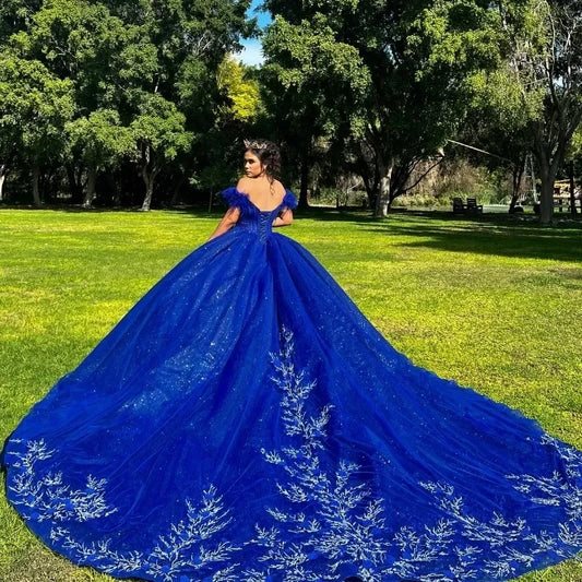 Sparkly Royal Blue Vestidos De 15 Quinceañera Sequined Appliques Off The Shoulder Ball Gown Tull Vestidos De 15 Anos Customized